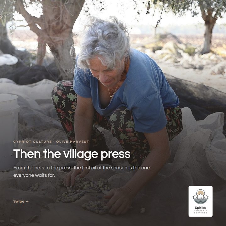 Spitiko social card: The village press, olive harvest