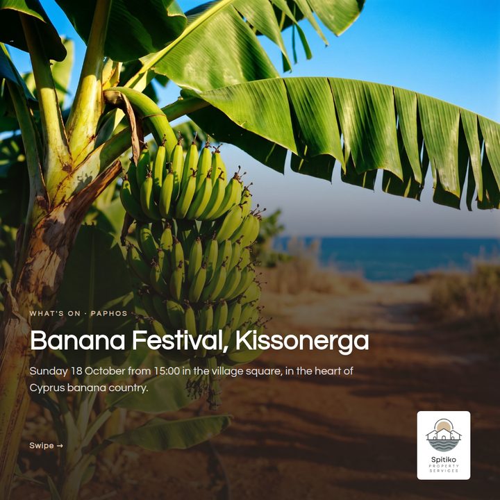 Spitiko social card: Banana Festival in Kissonerga
